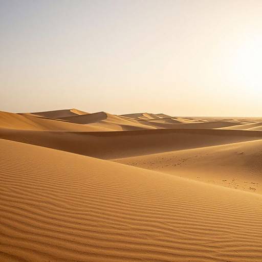 Endless Golden Sand Dunes at Sunset