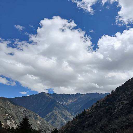Photograph of a mountainous landscape with dark green pine trees in the foreground, rugged gray mountains in the middle ground, and a bright blue sky with