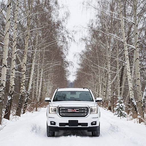 GMC Yukon Driving on Snowy Birch Tree Road