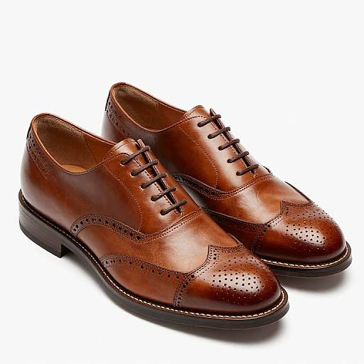 Wingcap Derby Brogue Shoes