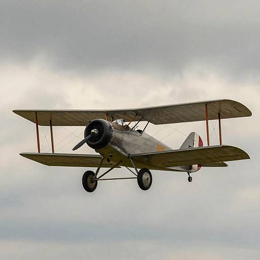 Vintage Cargo Biplane Overcast Sky