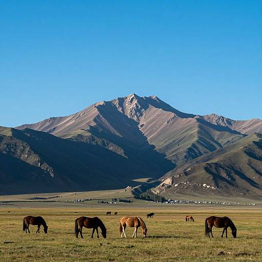 Photograph of brown and tan horses grazing on a grassy plain with a clear blue sky and shadowed mountain range in the background.