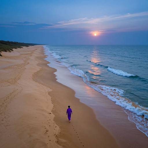 Photograph of a lone person in a purple outfit walking on a sandy beach at sunset, with the sun reflecting on the ocean waves.
