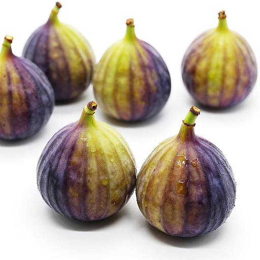 Ripe Fig Photography on White