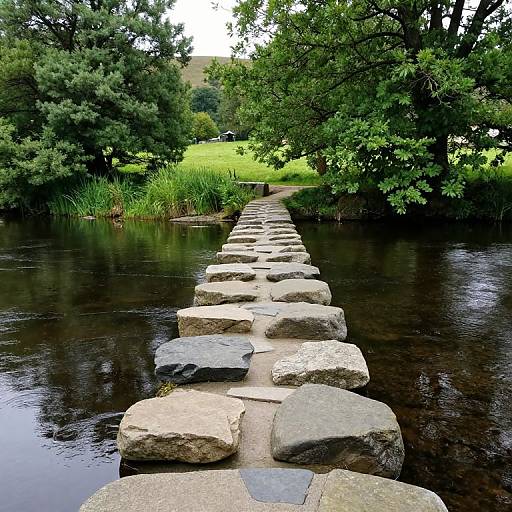 Serene Stepping Stones Over River