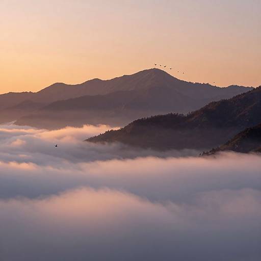 Photograph of a sunrise over misty mountains, with a flock of birds flying in the sky, casting a warm orange glow.