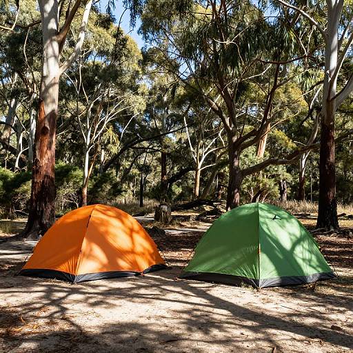 Vibrant Tents at Barrington Tops
