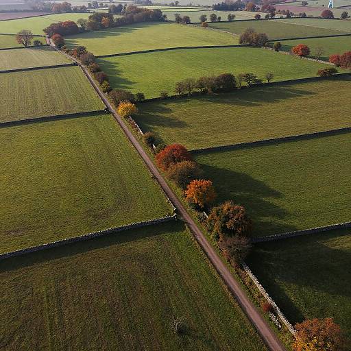Aerial View of Farr Countryside Fields