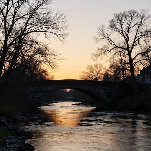 Photograph of a serene sunset over a reflective river, silhouetted by bare trees and an arching bridge, with buildings in the background.
