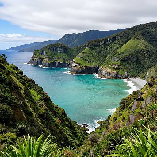 Coastal Cliffs and Turquoise Bay in Tasmania