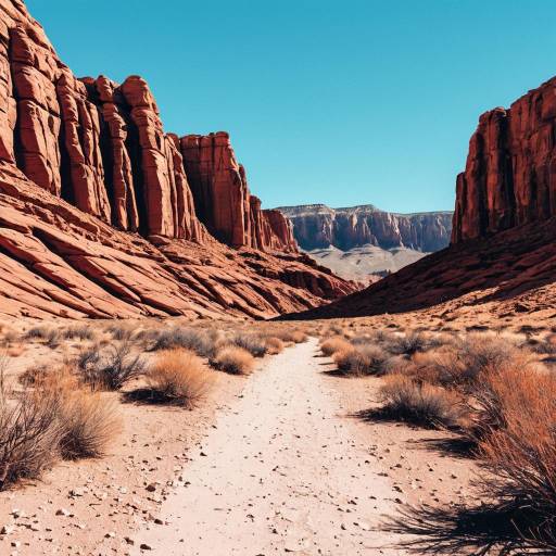 Minimalist Desert Canyon Illustration