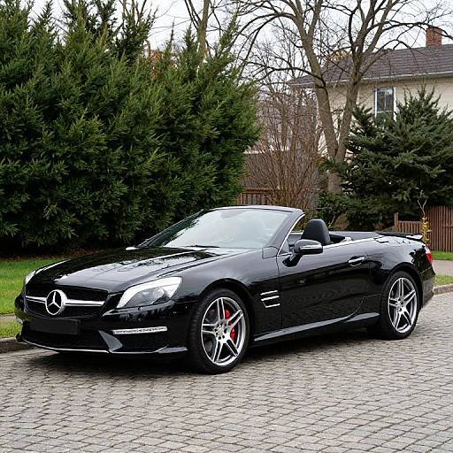 Photograph of a shiny black Mercedes convertible with red brake calipers parked on a cobblestone driveway, surrounded by green hedges and bare trees in