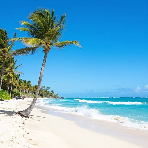 Tropical Beach Landscape with Palm Trees