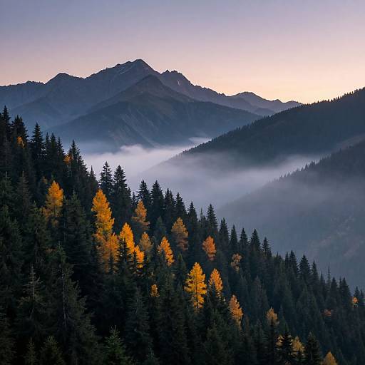 Misty Mountain Peaks at Twilight