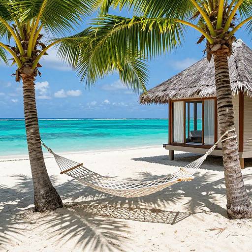 Photograph of a tropical beach scene: white sand, turquoise ocean, blue sky, two palm trees, thatched hut, and a hanging hammock