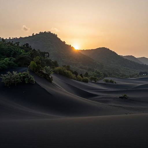 Photograph of a serene sunset over dark, rippled sand dunes, with silhouetted green hills and sparse vegetation in the foreground.