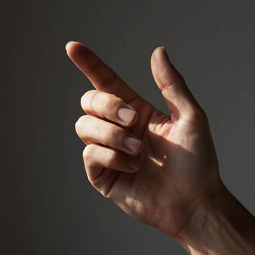 Realistic Photorealistic Hand in Studio Light