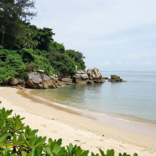 Photograph of a serene, sandy beach with clear turquoise water, large rocky formations, lush green trees, and bright sunlight.