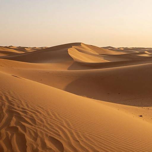 Photograph of a vast, golden desert with smooth, rippled sand dunes under a bright, clear sky at sunset.