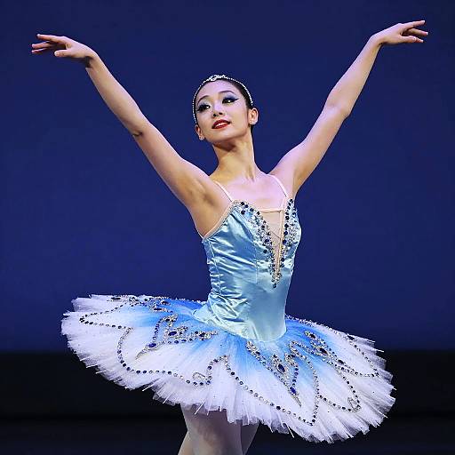 Photograph of a poised ballerina with arms raised, wearing a shimmering silver bodice and white tutu, adorned with sequins, against