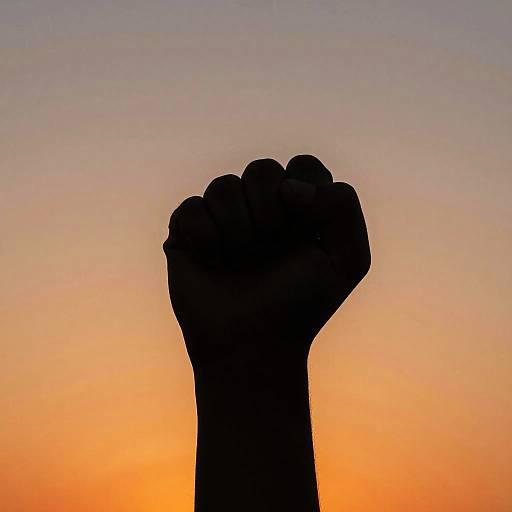 Silhouette of a raised fist against a vibrant sunset sky, blending warm oranges and cool blues. Photographic image.