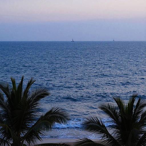 Photograph of a serene ocean horizon with two distant sailboats, framed by silhouetted palm trees in the foreground, under a blue-gray sky