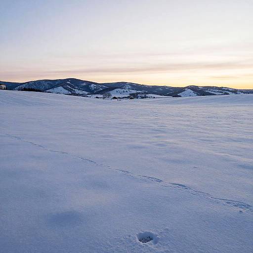 Peaceful Snowy Field at Sunset