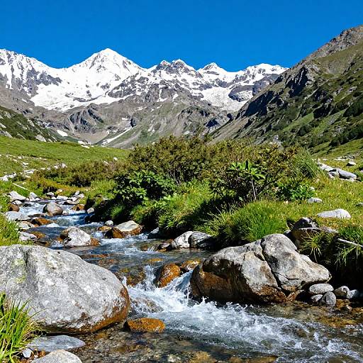 Photograph of a vibrant mountain landscape with a clear blue sky, snow-capped peaks, a rocky stream, and lush greenery in the foreground.