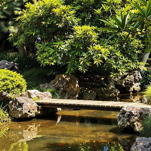 Photograph of a sunlit garden with lush green foliage, rocky terrain, and a small, clear pond with a wooden bridge.