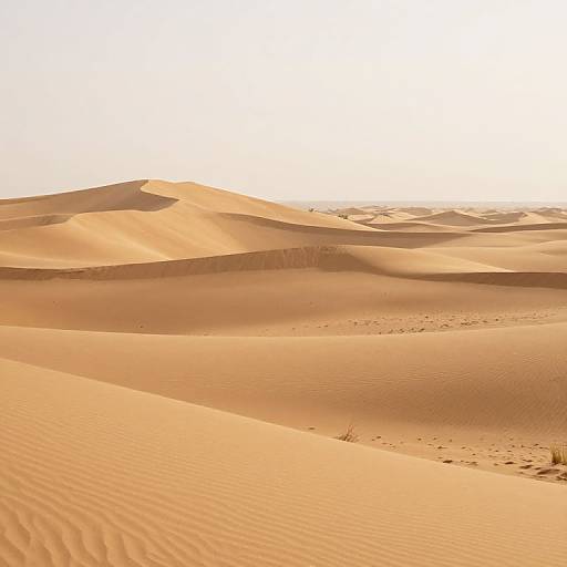 Photograph of expansive, sunlit desert dunes with rippled sand textures, soft orange hues, and gentle shadows creating a serene, endless landscape.