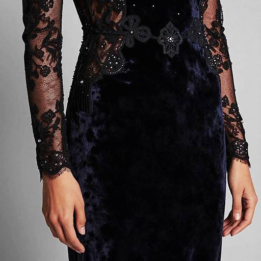 Luxurious Dark Velvet Embellished Dress