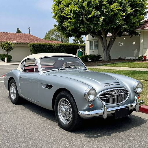 Vintage 1955 Austin-Healey in LA