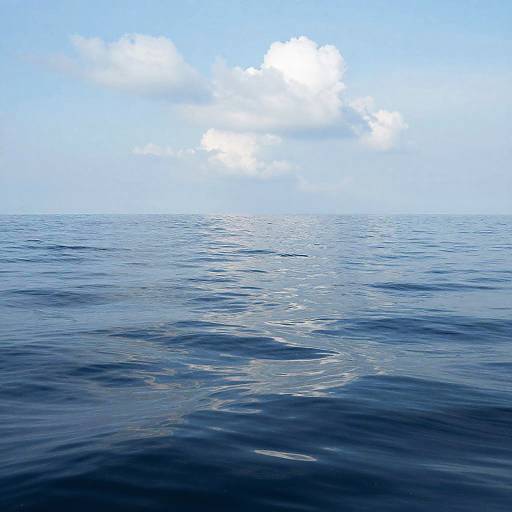 Endless Serene Ocean Scene