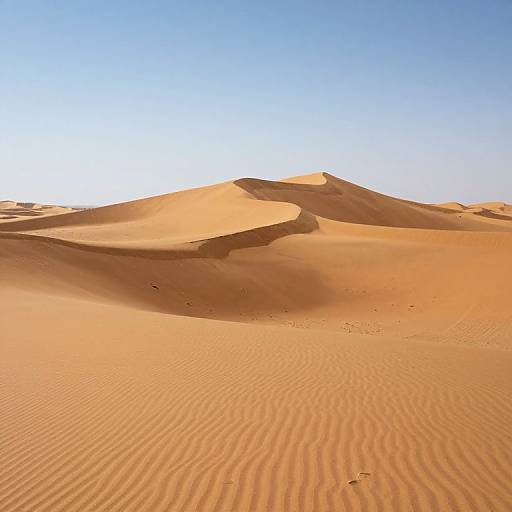 Photograph of sunlit desert sand dunes with rippled textures, golden-orange sand, and clear blue sky, capturing the serene beauty of the desert