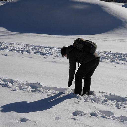 Explorer Examining Snowy Terrain