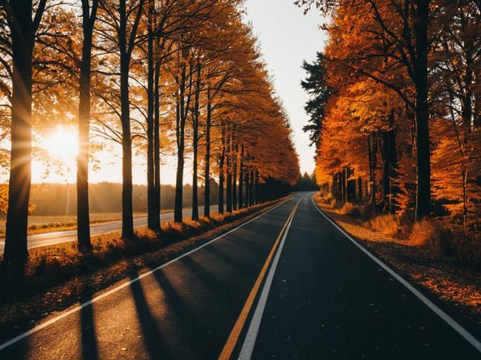 Serene Fall Road with Setting Sun