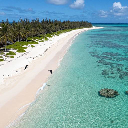 Aerial photo of a pristine, turquoise ocean shoreline with white sand, lush palm trees, and a few rocks near the water. Bright blue sky above