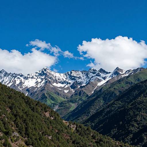 Vibrant Mountain Landscape Photography