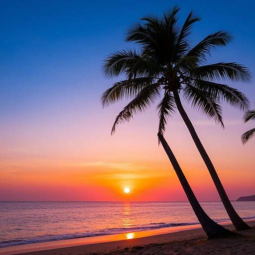 Photograph of a tropical sunset with two silhouetted palm trees, vibrant orange and pink sky, calm ocean, and reflective beach.