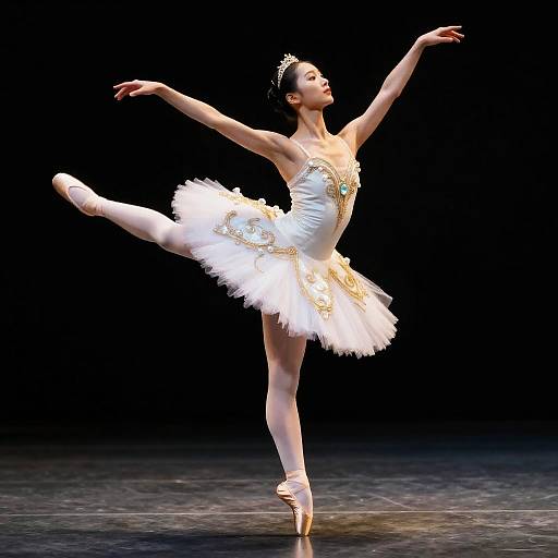 Elegant Ballerina in Golden Hour