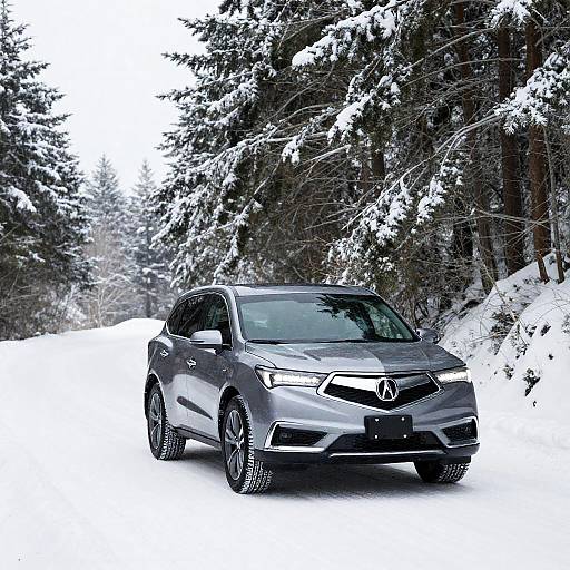 Acura MDX Driving on Snowy Fir-Lined Road