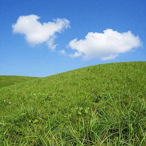 Nostalgic Windows XP Bliss Landscape