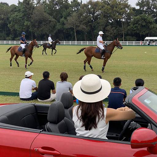 Chic Polo Match with Stylish Spectator