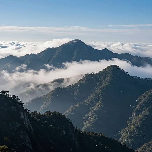 Photograph of a mountainous landscape with dense, dark green forested peaks partially shrouded in white, fluffy clouds under a clear blue sky.