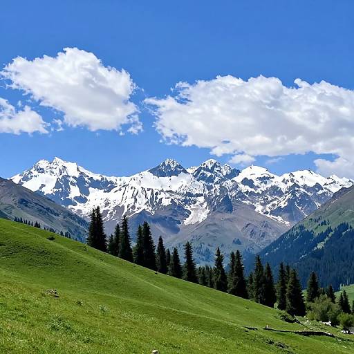 Photograph of a vibrant green meadow with pine trees in the foreground, leading to towering, snow-capped mountains under a bright blue sky with scattered