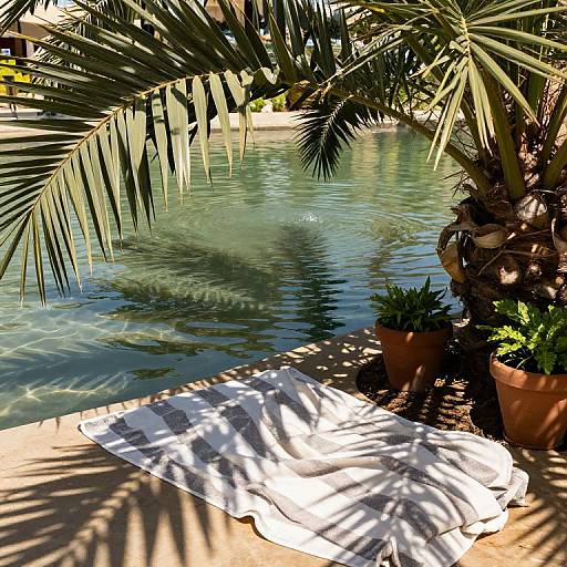 Photograph of a sunny outdoor pool area with palm leaves casting shadows, a white towel on the ground, and two potted plants.