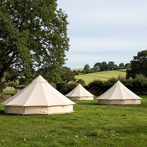 Dorset Glamping Holidays Experience