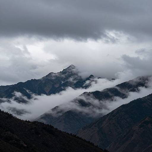 Photograph of a misty mountain range with dark, forested peaks partially obscured by thick, white clouds under a gray, overcast sky.