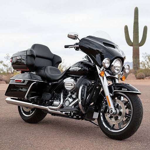 Photograph of a sleek black Harley-Davidson motorcycle with chrome accents, leather seat, and saddlebags, parked on a desert road with a tall