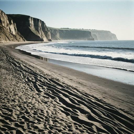 Vivid Realistic Beach Landscape in Sunlight